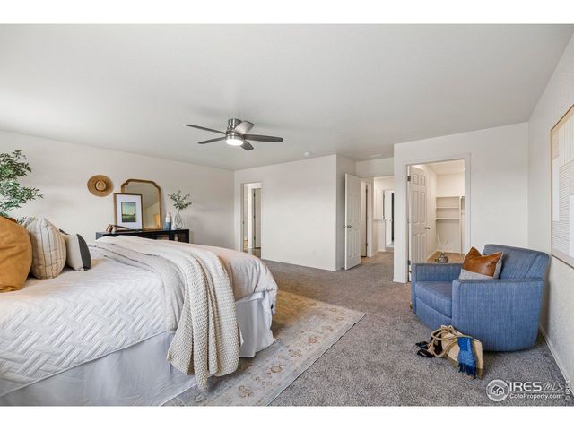 421 Harrow St, Severance, CO 80550