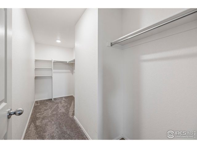 421 Harrow St, Severance, CO 80550