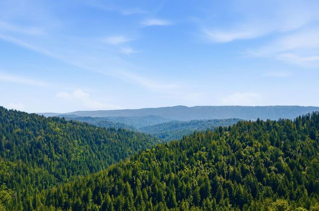 18788 Favre Ridge Road, Los Gatos, CA 95033