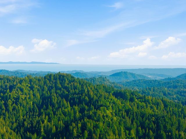 18788 Favre Ridge Road, Los Gatos, CA 95033