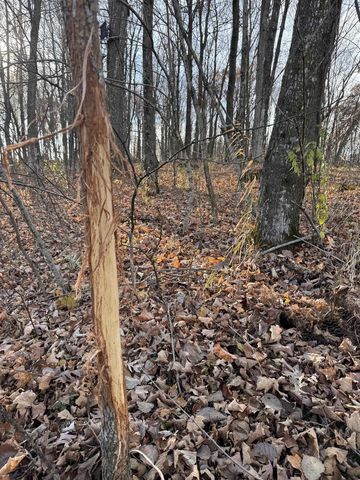 28302 Hwy 80, Richland Center, WI 53581