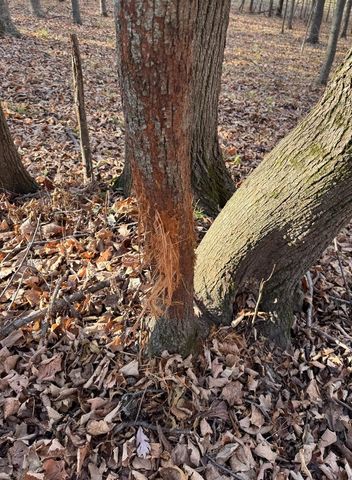 28302 Hwy 80, Richland Center, WI 53581