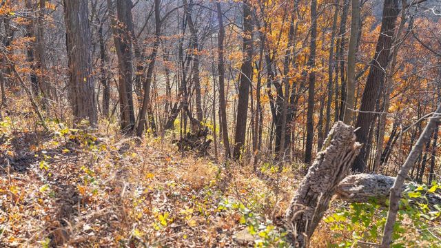 28302 Hwy 80, Richland Center, WI 53581