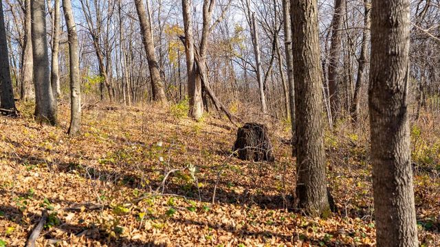 28302 Hwy 80, Richland Center, WI 53581