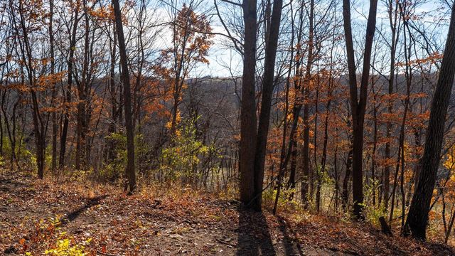 28302 Hwy 80, Richland Center, WI 53581