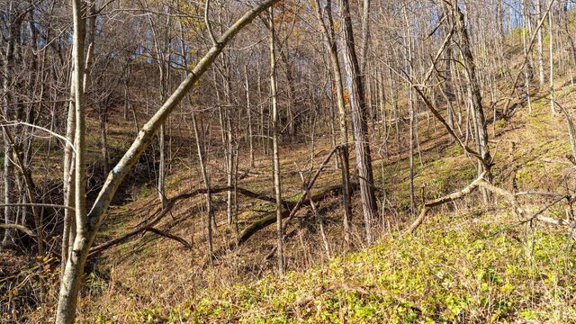 28302 Hwy 80, Richland Center, WI 53581