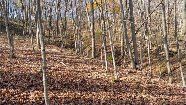 28302 Hwy 80, Richland Center, WI 53581