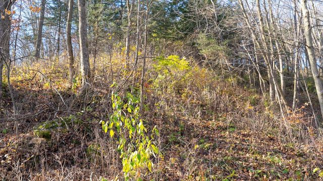 28302 Hwy 80, Richland Center, WI 53581