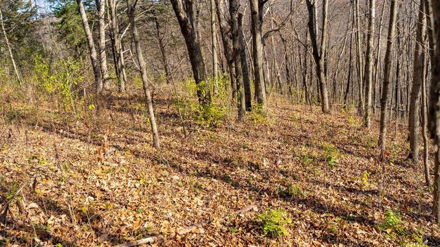 28302 Hwy 80, Richland Center, WI 53581