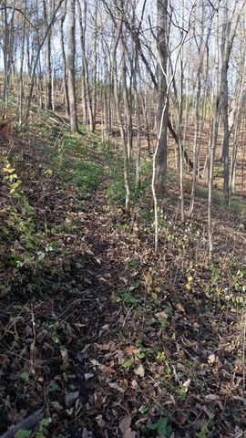 28302 Hwy 80, Richland Center, WI 53581