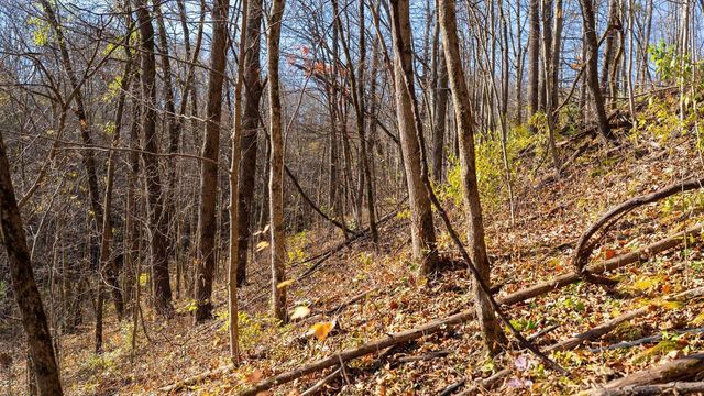 28302 Hwy 80, Richland Center, WI 53581