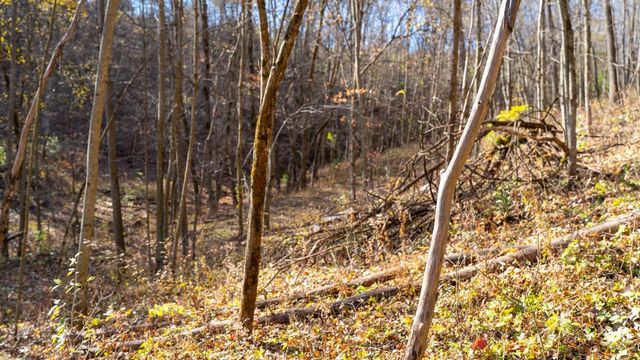 28302 Hwy 80, Richland Center, WI 53581