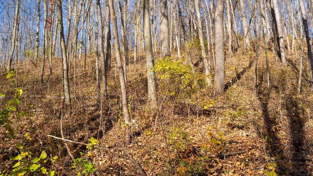 28302 Hwy 80, Richland Center, WI 53581