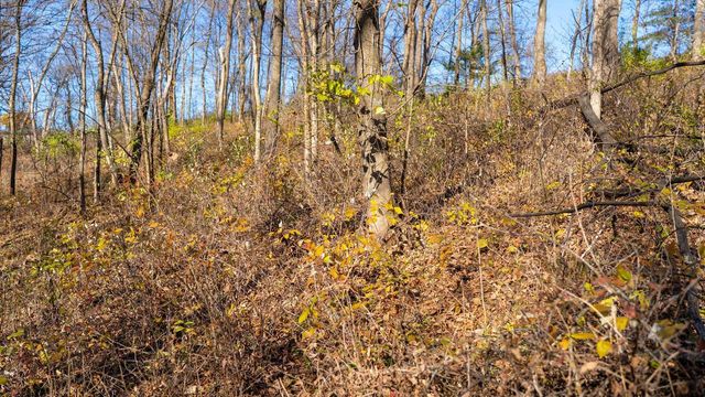 28302 Hwy 80, Richland Center, WI 53581