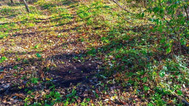 28302 Hwy 80, Richland Center, WI 53581