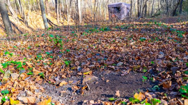 28302 Hwy 80, Richland Center, WI 53581