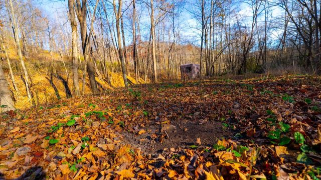 28302 Hwy 80, Richland Center, WI 53581