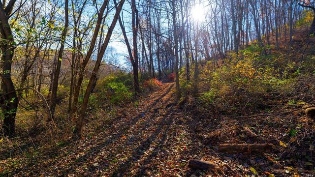 28302 Hwy 80, Richland Center, WI 53581