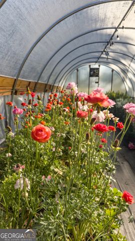 1580 Farmington Road, Madison, GA 30650