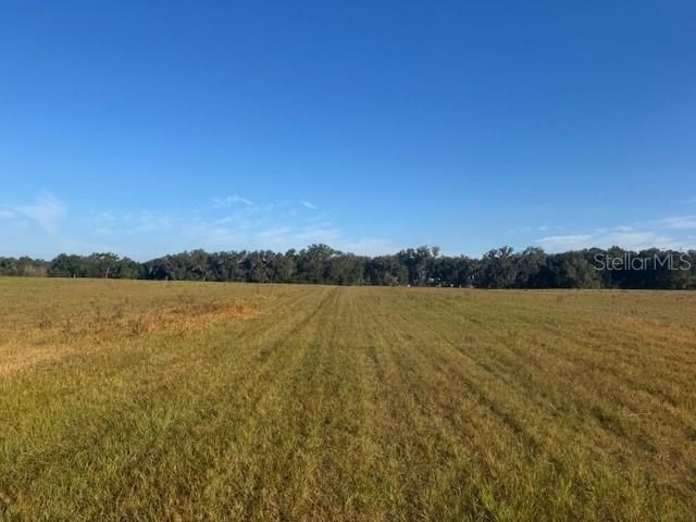 TBD NW 100TH STREET, Ocala, FL 34475
