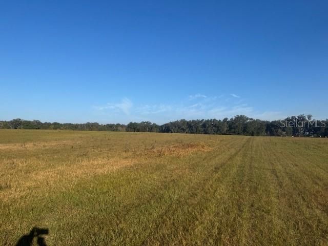 TBD NW 100TH STREET, Ocala, FL 34475