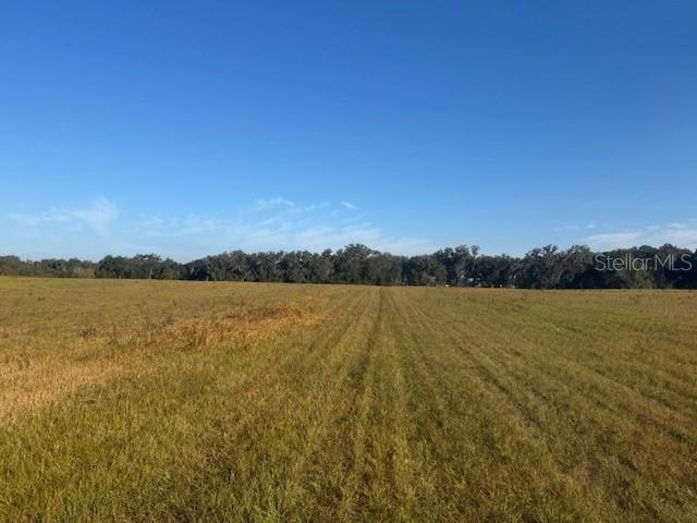 TBD NW 100TH STREET, Ocala, FL 34475