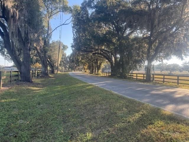 TBD NW 100TH STREET, Ocala, FL 34475