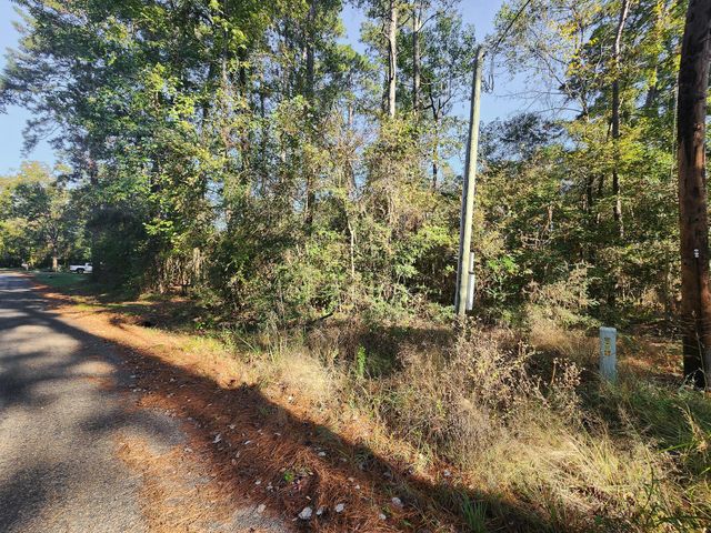 145 Dancing Flame, Livingston, TX 77351