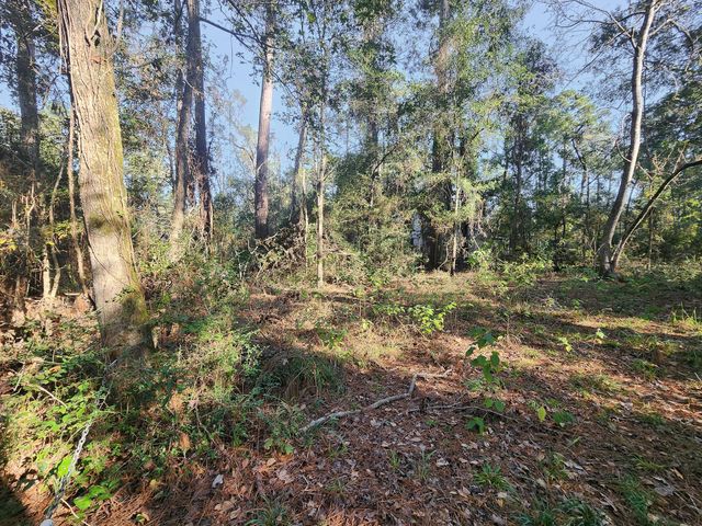 145 Dancing Flame, Livingston, TX 77351