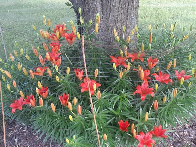 696 Buttercup Court, Hudson, WI 54016