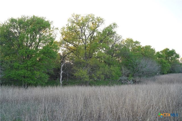2915 Tumbleweed Trail, Dale, TX 78616