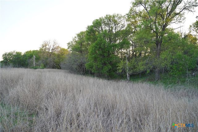 2915 Tumbleweed Trail, Dale, TX 78616