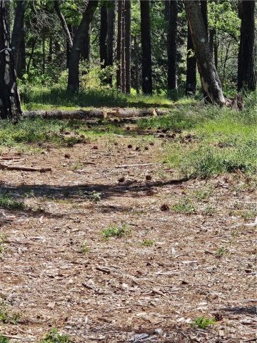 0 Boeta, Paradise, CA 95969