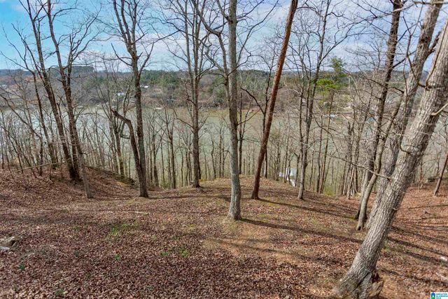 102 COUNTY ROAD 249, Cullman, AL 35057