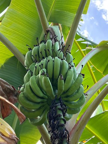 8902 SE Marina Bay Drive, Hobe Sound, FL 33455