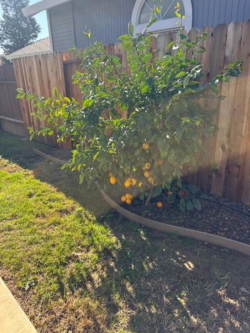 4909 Hidden Meadow Way, Antelope, CA 95843