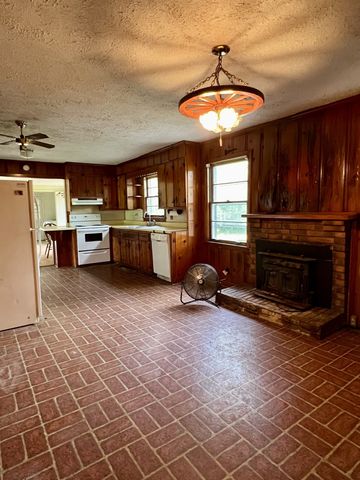 250 Chipman Rd, Bethpage, TN 37022
