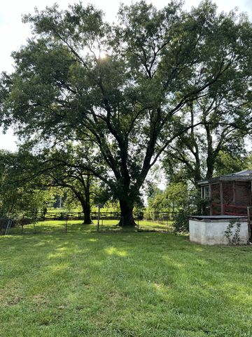 250 Chipman Rd, Bethpage, TN 37022