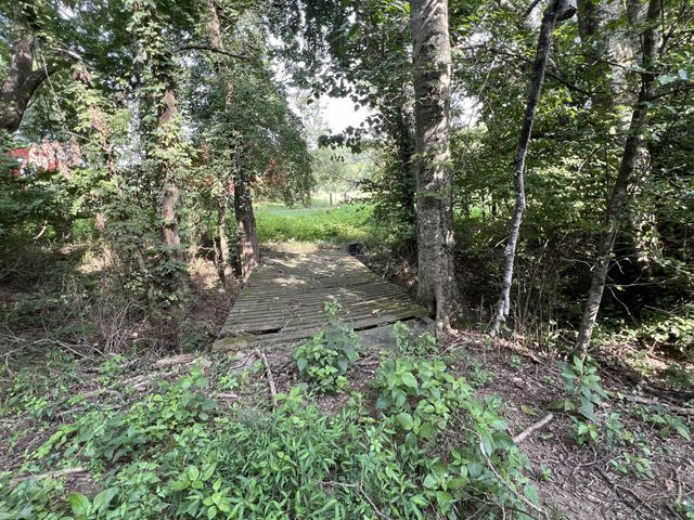 250 Chipman Rd, Bethpage, TN 37022