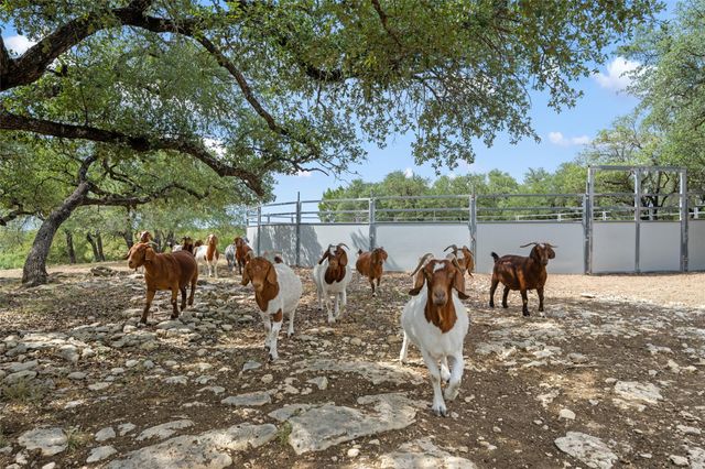 2400 W Fitzhugh RD, Dripping Springs, TX 78620