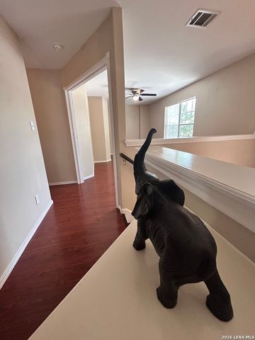 10226 Lion Hunt, San Antonio, TX 78251