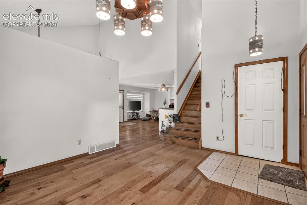 5370 Balsam Street, Colorado Springs, CO 80923 — photo 5