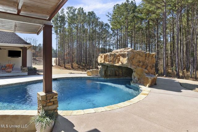 167 Dogwood Trace, Brandon, MS 39042