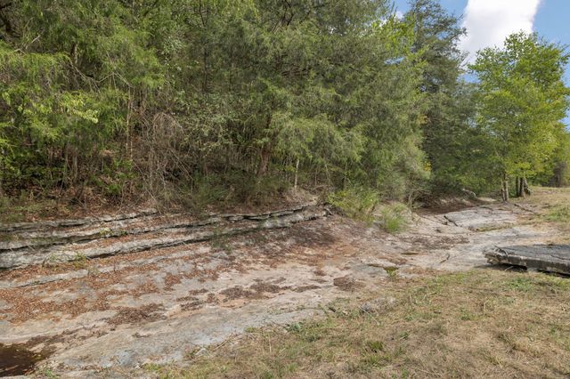 0 Funn Branch Road, Gainesboro, TN 38562