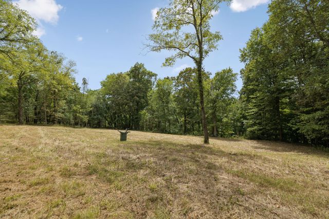 0 Funn Branch Road, Gainesboro, TN 38562