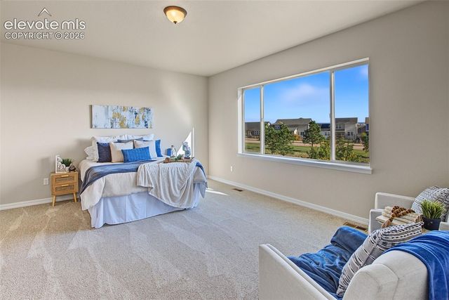15621 Lake Mist Drive, Monument, CO 80132