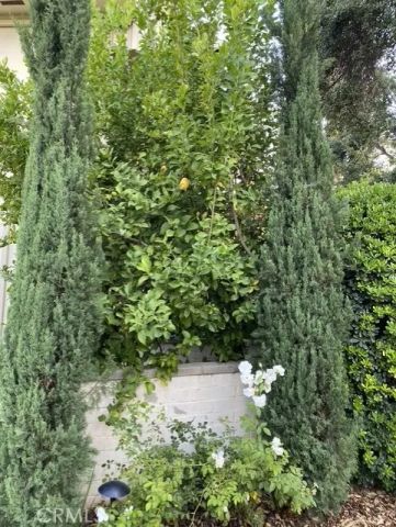 101 N Grand 2, Pasadena, CA 91103
