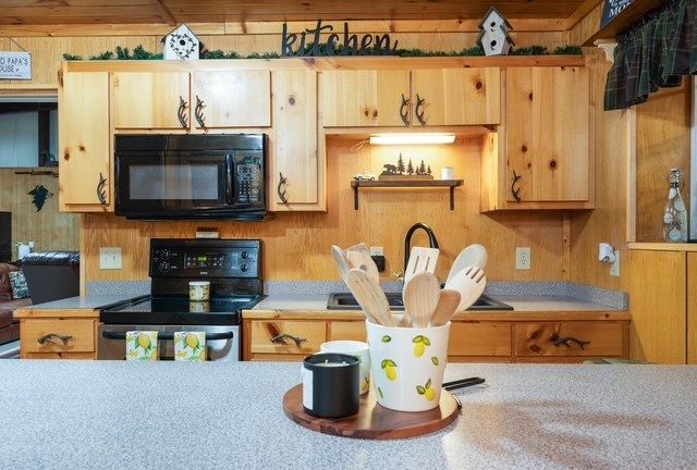 19 Ladybug Lane, Blue Ridge, GA 30513