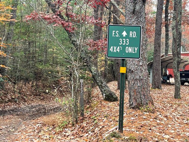 19 Ladybug Lane, Blue Ridge, GA 30513
