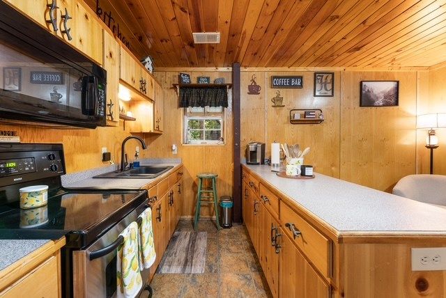 19 Ladybug Lane, Blue Ridge, GA 30513